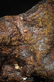 05392 - Agoudal Imilchil Iron IIAB Meteorite 8.3g Collector Grade