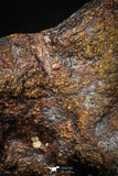 05392 - Agoudal Imilchil Iron IIAB Meteorite 8.3g Collector Grade