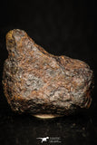 05392 - Agoudal Imilchil Iron IIAB Meteorite 8.3g Collector Grade