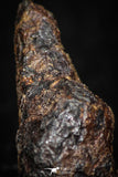 05392 - Agoudal Imilchil Iron IIAB Meteorite 8.3g Collector Grade