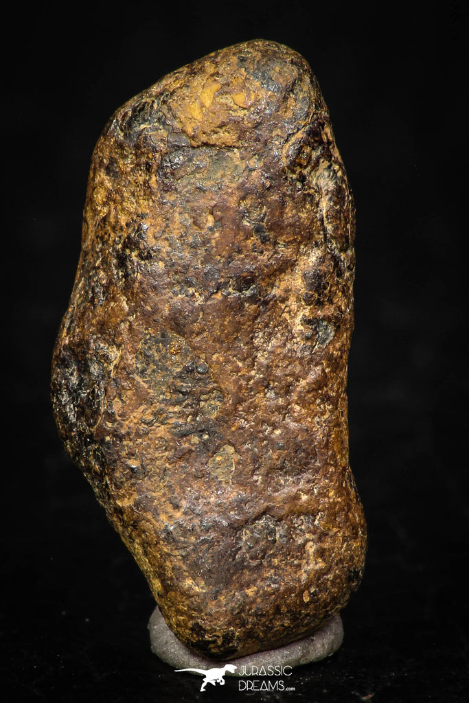 05393 - Agoudal Imilchil Iron IIAB Meteorite 5.5g Collector Grade