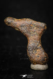 05394 - Agoudal Imilchil Iron IIAB Meteorite 3.6g Collector Grade