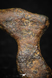 05394 - Agoudal Imilchil Iron IIAB Meteorite 3.6g Collector Grade