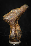 05394 - Agoudal Imilchil Iron IIAB Meteorite 3.6g Collector Grade