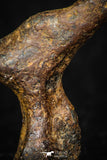 05394 - Agoudal Imilchil Iron IIAB Meteorite 3.6g Collector Grade