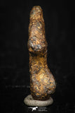 05394 - Agoudal Imilchil Iron IIAB Meteorite 3.6g Collector Grade
