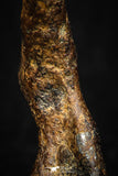 05394 - Agoudal Imilchil Iron IIAB Meteorite 3.6g Collector Grade