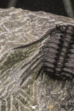 20063 - Nicely Preserved Spiny 1.34 Inch Leonaspis sp Middle Devonian Trilobite
