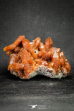 20077 - Top Beautiful 5.57 Inch Natural Red Iron-Oxide Coated Quartz Crystals Cluster