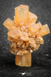 20085 - Nice 1.38 Inch Aragonite Twinned Crystal Cluster - Safro Mine, Bou Azzer, Morocco