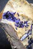20092 - Beautiful Deep Blue Azurite Crystals on Carbonate Matrix - Kerrouchen (Morocco)