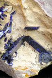 20092 - Beautiful Deep Blue Azurite Crystals on Carbonate Matrix - Kerrouchen (Morocco)