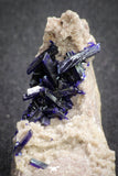 20093 - Beautiful Deep Blue Azurite Crystals on Carbonate Matrix - Kerrouchen (Morocco)