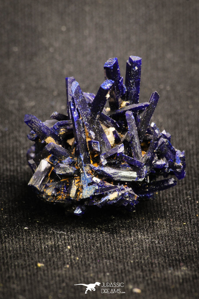 20094 - Beautiful Deep Blue Azurite Crystals - Kerrouchen mine (Morocco)