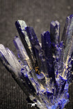 20095 - Beautiful Deep Blue Azurite Crystals - Kerrouchen mine (Morocco)