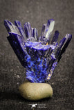 20095 - Beautiful Deep Blue Azurite Crystals - Kerrouchen mine (Morocco)