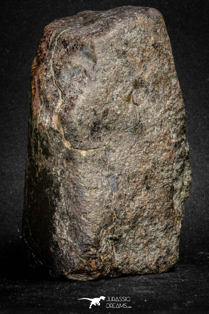 20097 - Huge Fully Complete NWA L-H Type Unclassified Ordinary Chondrite Meteorite 1251g