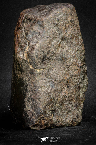 20097 - Huge Fully Complete NWA L-H Type Unclassified Ordinary Chondrite Meteorite 1251g