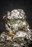 20099 - Campo del Cielo Iron IAB-MG Meteorite 40.4g Argentina