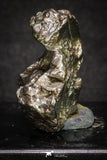 20099 - Campo del Cielo Iron IAB-MG Meteorite 40.4g Argentina