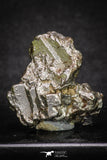20099 - Campo del Cielo Iron IAB-MG Meteorite 40.4g Argentina