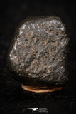 05793 - Fully Complete NWA L-H Type Unclassified Ordinary Chondrite Meteorite 4.0g