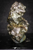 20099 - Campo del Cielo Iron IAB-MG Meteorite 40.4g Argentina