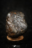 05793 - Fully Complete NWA L-H Type Unclassified Ordinary Chondrite Meteorite 4.0g