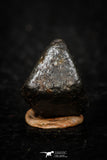 05793 - Fully Complete NWA L-H Type Unclassified Ordinary Chondrite Meteorite 4.0g