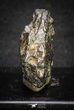 20100 - Campo del Cielo Iron IAB-MG Meteorite 38.3g Argentina