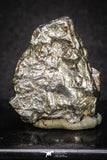 20100 - Campo del Cielo Iron IAB-MG Meteorite 38.3g Argentina