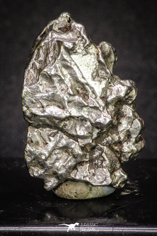 20101 - Campo del Cielo Iron IAB-MG Meteorite 44.5g Argentina