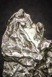20101 - Campo del Cielo Iron IAB-MG Meteorite 44.5g Argentina