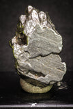 20101 - Campo del Cielo Iron IAB-MG Meteorite 44.5g Argentina