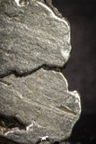 20101 - Campo del Cielo Iron IAB-MG Meteorite 44.5g Argentina