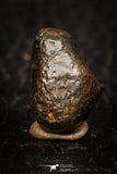 05795 - Fully Complete NWA L-H Type Unclassified Ordinary Chondrite Meteorite 3.0g