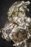 20102 - Campo del Cielo Iron IAB-MG Meteorite 34.2g Argentina