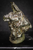 20102 - Campo del Cielo Iron IAB-MG Meteorite 34.2g Argentina