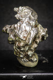 20102 - Campo del Cielo Iron IAB-MG Meteorite 34.2g Argentina