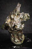 20102 - Campo del Cielo Iron IAB-MG Meteorite 34.2g Argentina