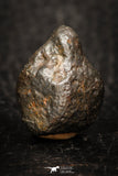 05796 - Fully Complete NWA L-H Type Unclassified Ordinary Chondrite Meteorite 5.7g