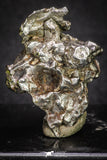 20102 - Campo del Cielo Iron IAB-MG Meteorite 34.2g Argentina