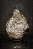 05796 - Fully Complete NWA L-H Type Unclassified Ordinary Chondrite Meteorite 5.7g