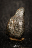 05796 - Fully Complete NWA L-H Type Unclassified Ordinary Chondrite Meteorite 5.7g