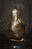 05796 - Fully Complete NWA L-H Type Unclassified Ordinary Chondrite Meteorite 5.7g