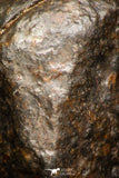 05797 - Fully Complete NWA L-H Type Unclassified Ordinary Chondrite Meteorite 4.5g