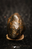 05797 - Fully Complete NWA L-H Type Unclassified Ordinary Chondrite Meteorite 4.5g