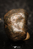 05799 - Fully Complete NWA L-H Type Unclassified Ordinary Chondrite Meteorite 2.8g