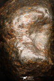 05799 - Fully Complete NWA L-H Type Unclassified Ordinary Chondrite Meteorite 2.8g