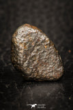 05801 - Fully Complete NWA L-H Type Unclassified Ordinary Chondrite Meteorite 3.5g